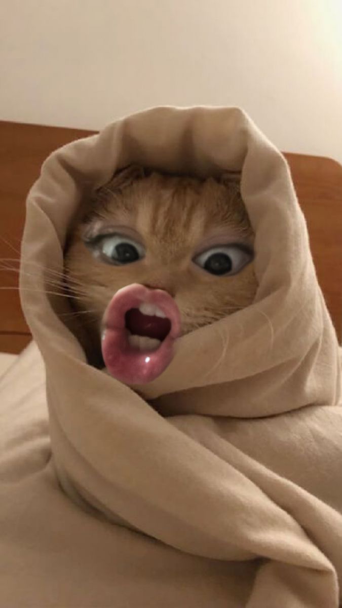 またまた、、の画像
