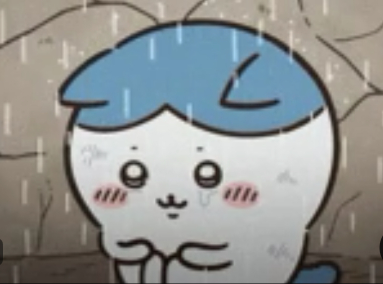 雨たいへん☔️の画像