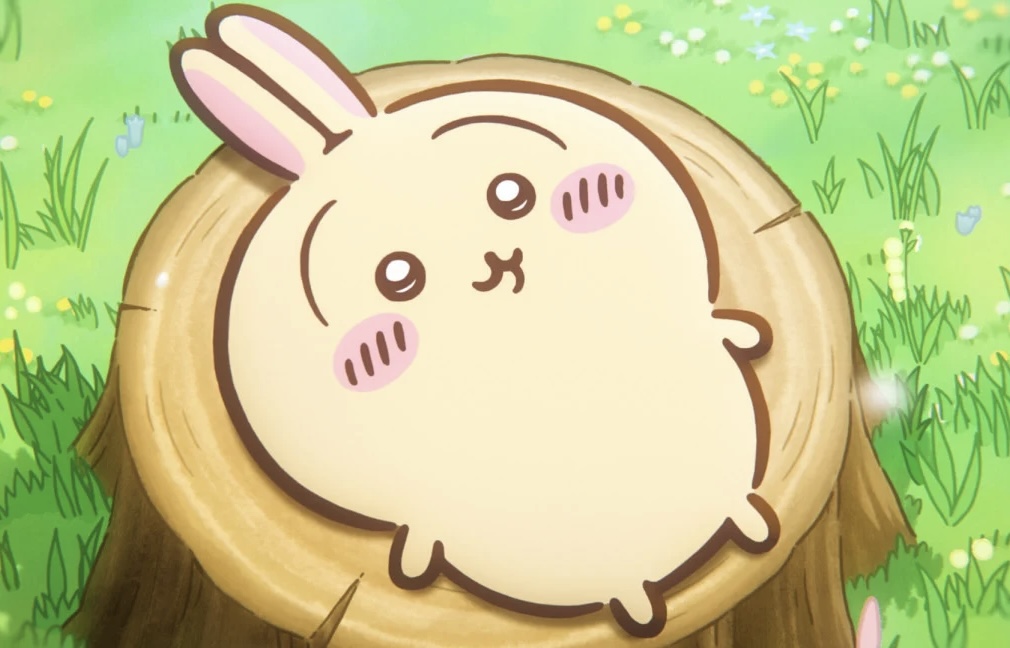 こんにちは、〜✩.*˚の画像
