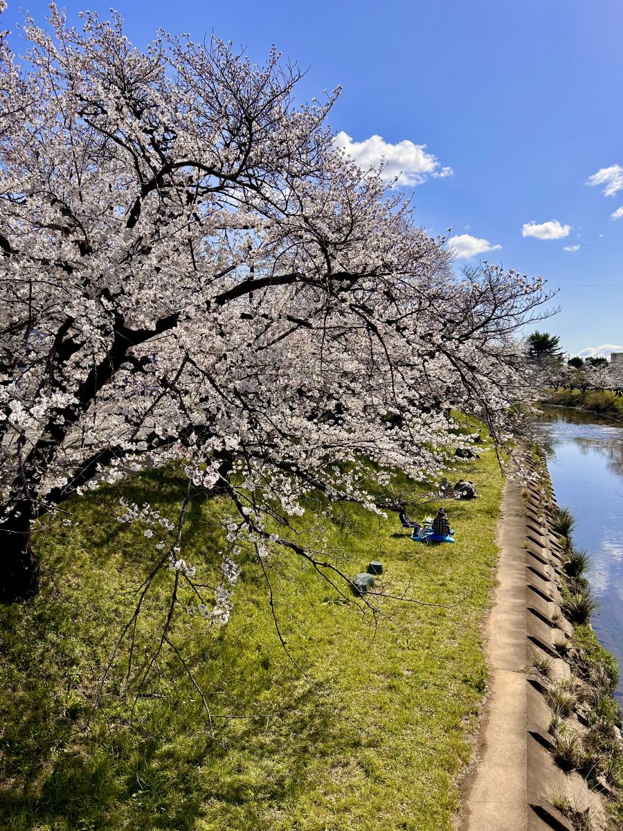 本日【2日(木)12:00-17:00ご案内可能👌🏻✩】の画像