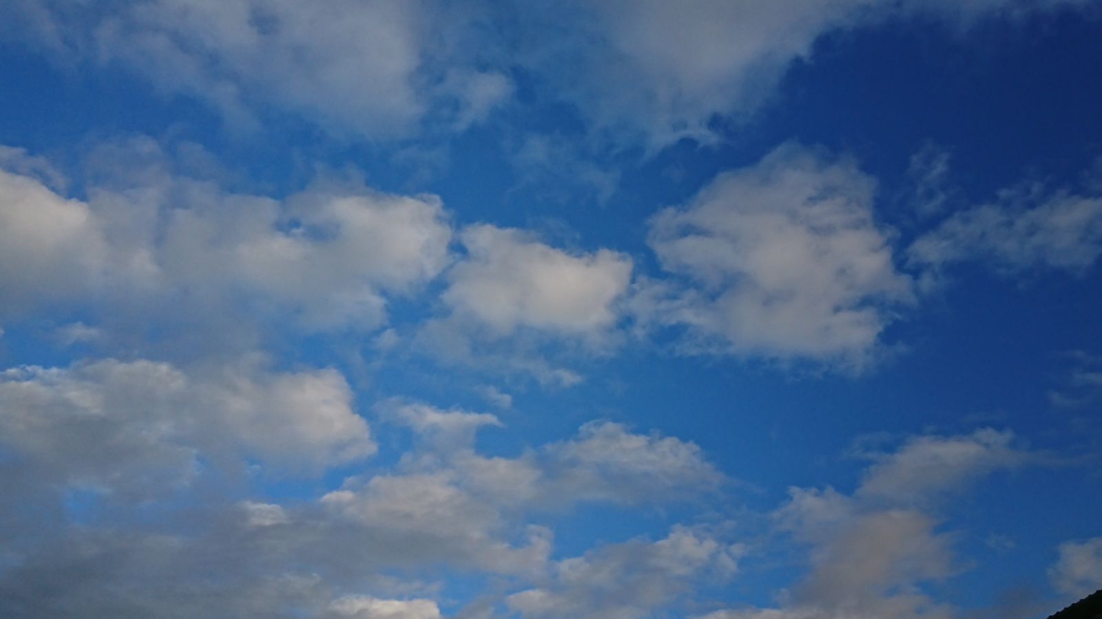 🌞の画像