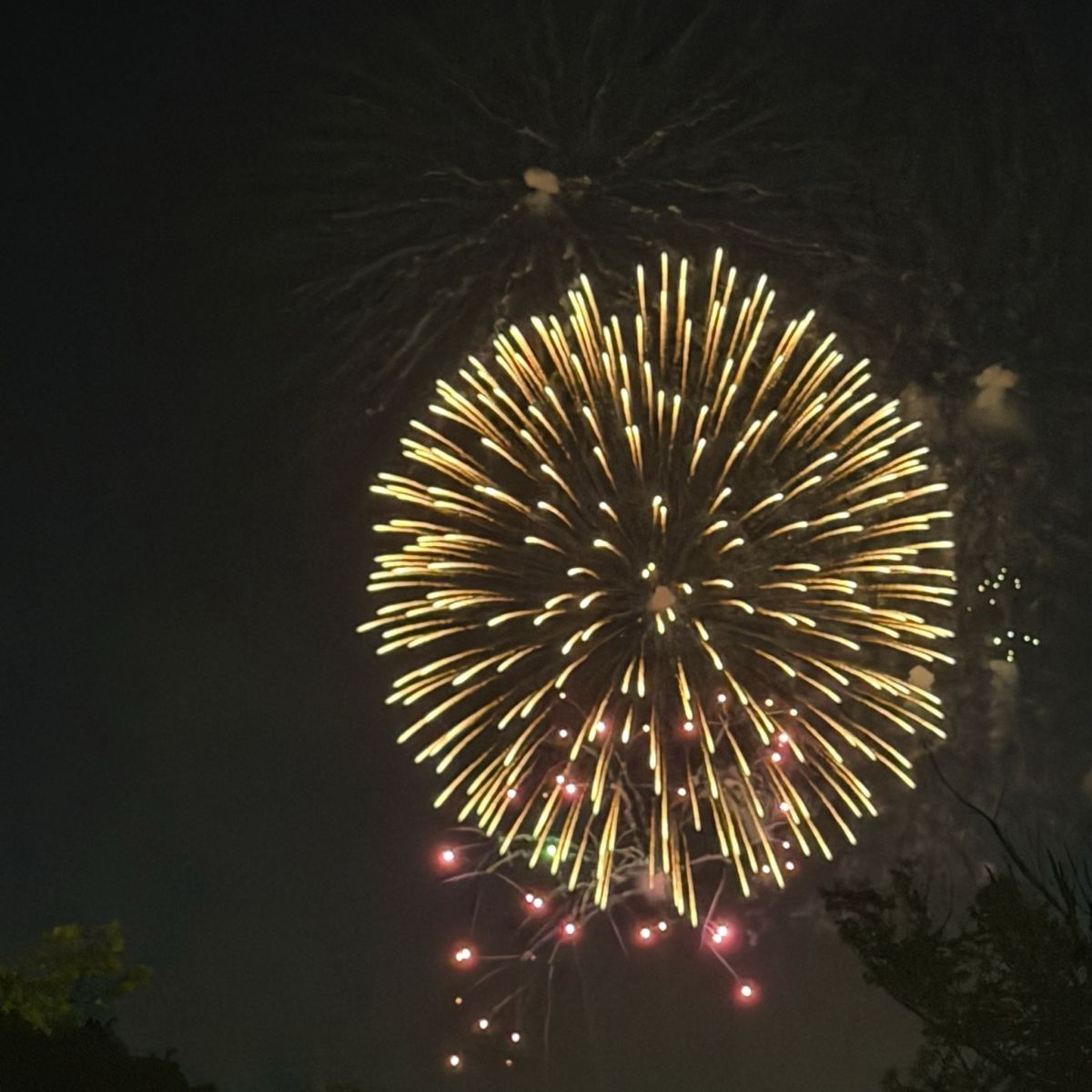 花火みたよ✨の画像