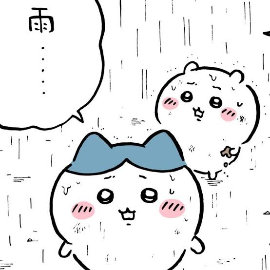 こんばんは‎🤍の画像